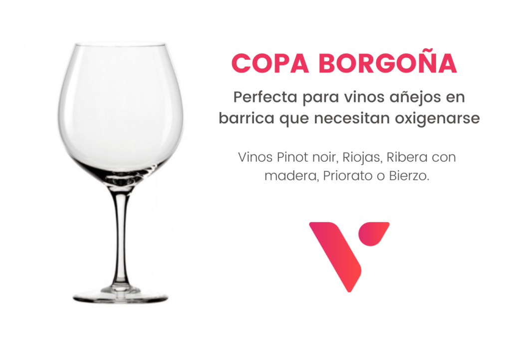 Copa Borgoña