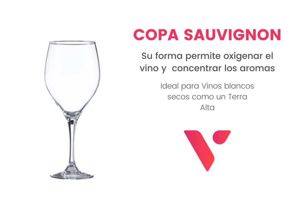 Copa Sauvignon