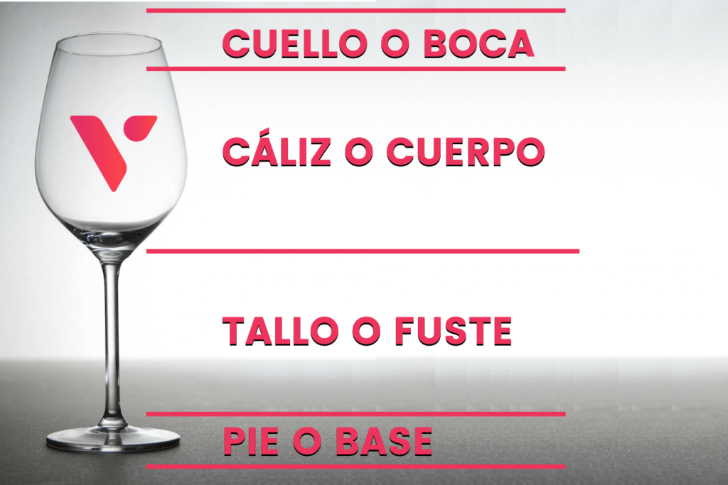 Partes de una copa de vino